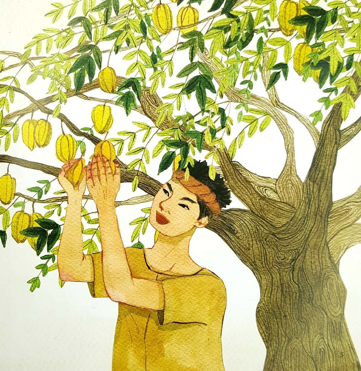 Combo 5 Quyển Cổ Tích Việt Nam Cho Bé ( Cây Khế + Chiếc Áo Tàng Hình + Nàng Tiên Cóc + Sự Tích Cái Chổi + Sự Tích Con Khỉ ) - Nhiều Tác Giả