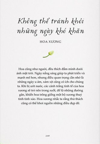  Vươn Mình Như Những Đoá Hoa - Những Bài Học Nhỏ Để Có Nguồn Vui Và An Lành Bất Tận - Liz Marvin, Rosie Dore 