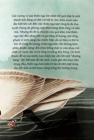  Sải Cánh Như Những Chú Chim - Những Bài Học Nhỏ Để Có Nguồn Năng Lượng Tích Cực Bất Tận - Alison Davies, John James Audubon 
