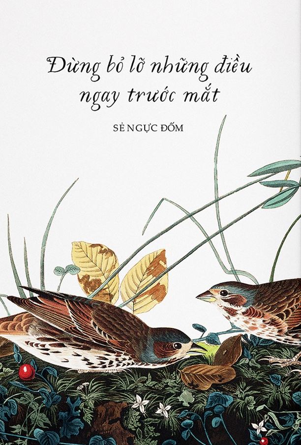 Sải Cánh Như Những Chú Chim - Những Bài Học Nhỏ Để Có Nguồn Năng Lượng Tích Cực Bất Tận - Alison Davies, John James Audubon