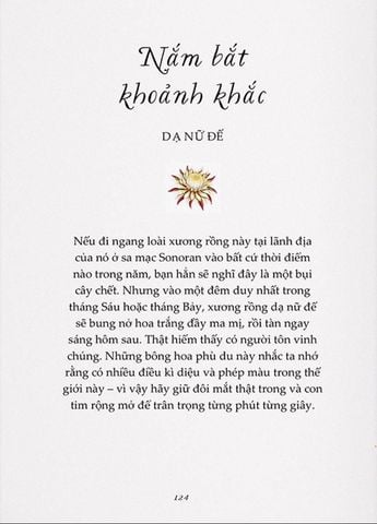  Vươn Mình Như Những Đoá Hoa - Những Bài Học Nhỏ Để Có Nguồn Vui Và An Lành Bất Tận - Liz Marvin, Rosie Dore 