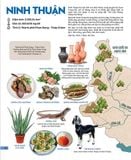  Đất Nước Gấm Hoa - Atlas Việt Nam 