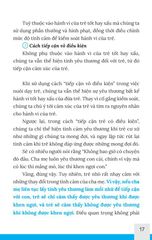 Khen Sao Cho Đúng, Mắng Sao Cho Chuẩn - Nuôi Dạy Một Đứa Trẻ Tự Lập Theo Phương Pháp Giáo Dục Montessori Và Reggio Emilia - Shimamura Hanako