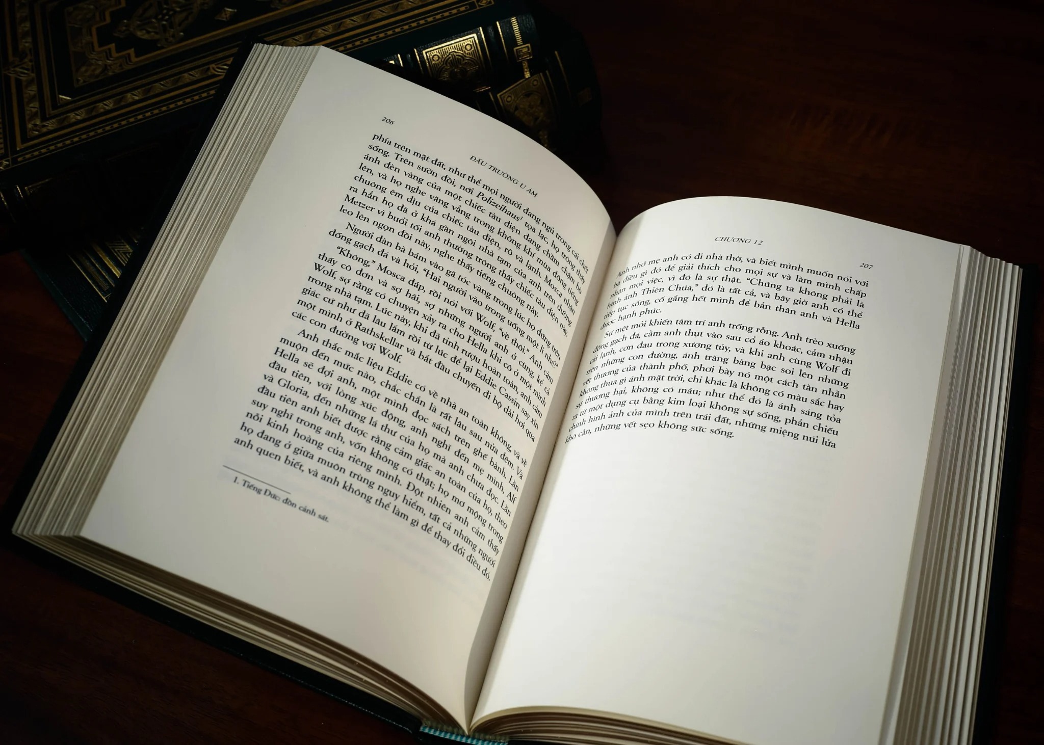 Đấu Trường U Ám S500 - Ấn Bản Giới Hạn - Mario Puzo