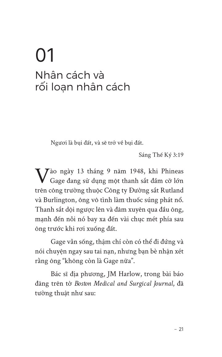 Ý Nghĩa Của Sự Điên Loạn - Cách Nhận Diện Nguồn Cơn Và Xử Lý Những Nỗi Đau Tinh Thần Sâu Trong Bạn - Neel Burton