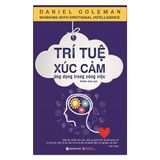  Trí Tuệ Xúc Cảm Ứng Dụng Trong Công Việc - Daniel Goleman 