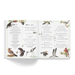 Combo 2 Quyển Atlas Động Vật + Atlas Các Loài Chim - Barbara Taylor, Richard Orr