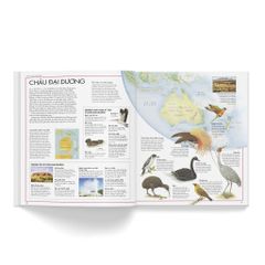 Combo 2 Quyển Atlas Động Vật + Atlas Các Loài Chim - Barbara Taylor, Richard Orr