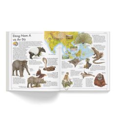 Combo 2 Quyển Atlas Động Vật + Atlas Các Loài Chim - Barbara Taylor, Richard Orr