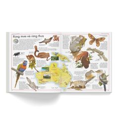 Combo 2 Quyển Atlas Động Vật + Atlas Các Loài Chim - Barbara Taylor, Richard Orr