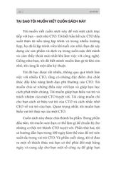 Bản Lĩnh CTO: Kế Hoạch 100 Ngày Trở Thành Giám Đốc Công Nghệ Xuất Sắc