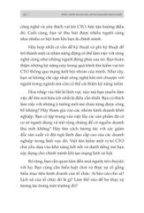 Bản Lĩnh CTO: Kế Hoạch 100 Ngày Trở Thành Giám Đốc Công Nghệ Xuất Sắc