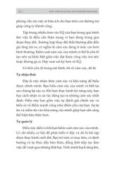 Bản Lĩnh CTO: Kế Hoạch 100 Ngày Trở Thành Giám Đốc Công Nghệ Xuất Sắc