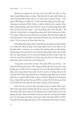 Cơ Thể Người - The Body - Chuyến Du Hành Đến Mọi Bộ Phận Của Chúng Ta - Bill Bryson