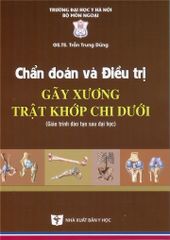 Chẩn Đoán Và Điều Trị Gãy Xương Trật Khớp Chi Dưới (SĐH) - ĐH Y Hà Nội, GS.TS Trần Trung Dũng