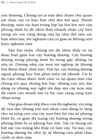  Chicken Soup For The Kids Soul - Chắp Cánh Tuổi Thơ 
