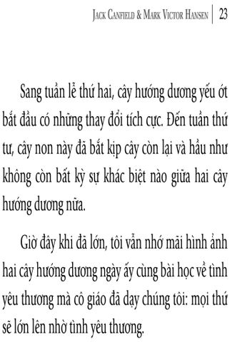  Chicken Soup For The Kids Soul - Chắp Cánh Tuổi Thơ 