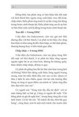 Ứng Dụng Disc Để Hiểu Từng Người Xung Quanh Bạn Trong Công Việc - Du Lượng