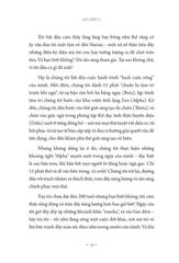 Giải Mã Alpha - Biến Đổi Cuộc Sống, Sức Khỏe Và Kinh Doanh - Lan Bercu