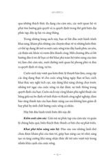 Giải Mã Alpha - Biến Đổi Cuộc Sống, Sức Khỏe Và Kinh Doanh - Lan Bercu