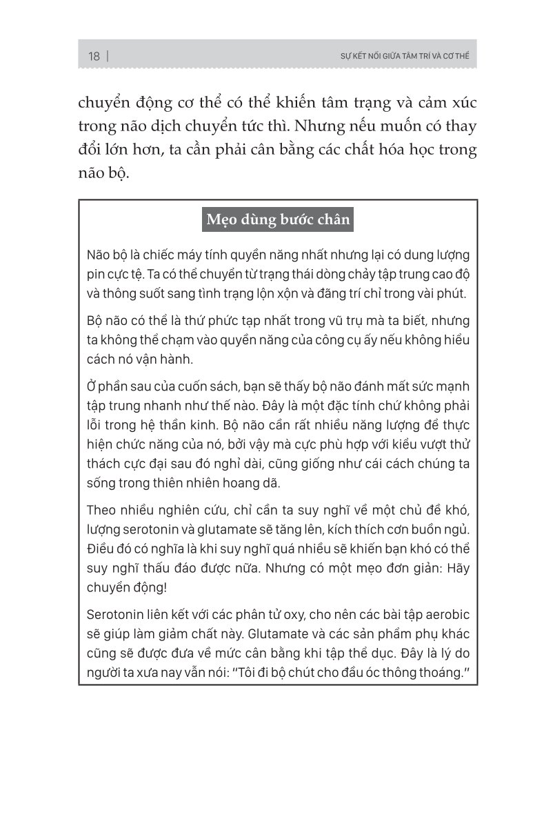 Lập Trình Não Bộ: Làm Chủ Trí Nhớ, Sự Tập Trung, Cảm Xúc Và Giải Phóng Thiên Tài Bên Trong Bạn