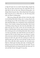 Não Trái - Não Phải: Và Cách Chúng Ảnh Hưởng Đến Hành Vi Hằng Ngày Của Chúng Ta