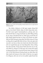 Não Trái - Não Phải: Và Cách Chúng Ảnh Hưởng Đến Hành Vi Hằng Ngày Của Chúng Ta