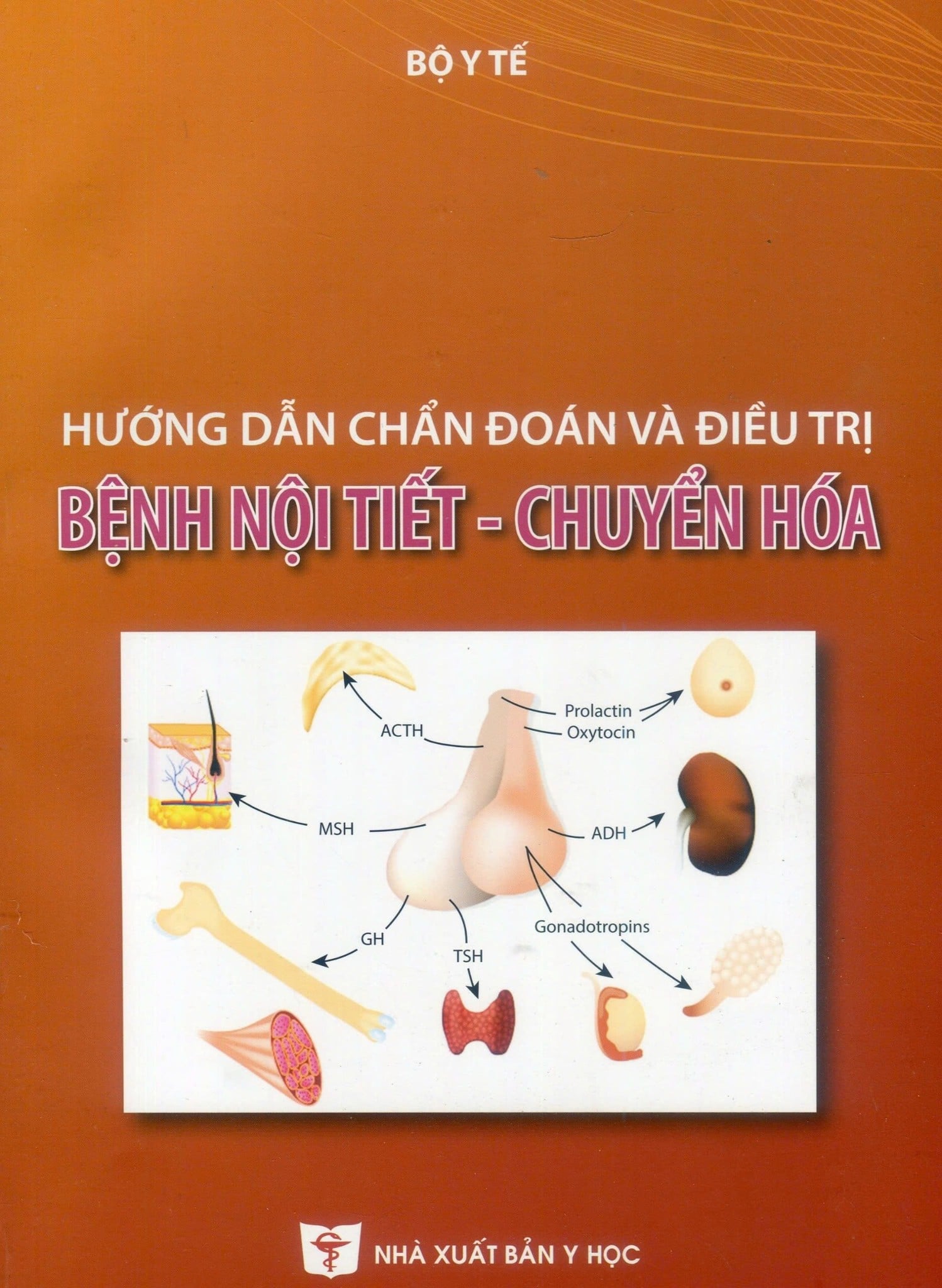 Hướng Dẫn Chẩn Đoán Và Điều Trị Bệnh Nội Tiết Chuyển Hóa - Bộ Y tế