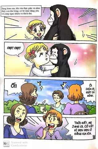  Jane Goodall - Who? Chuyện Kể Danh Nhân Thế Giới 