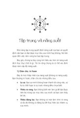 Master Your Life - Làm Chủ Sự Tập Trung - Thibaut Meurisse