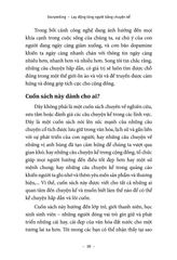 Storytelling - Lay Động Lòng Người Bằng Chuyện Kể - Nguyễn Trần Quang