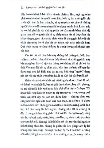  Liệu Pháp Hệ Thống Gia Đình Nội Tâm: Trân Trọng Các Phần Tâm Trí Trong Bạn - Richard C. Schwartz Ph.D 
