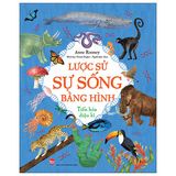  Lược Sử Sự Sống Bằng Hình - Tiến Hóa Diệu Kì - Anne Rooney, Natalie Hughes 