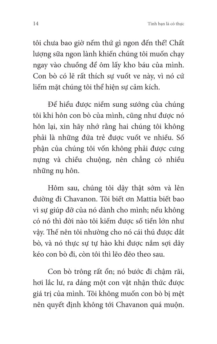 Không Gia Đình: Màu Sắc Của Hy Vọng (4)