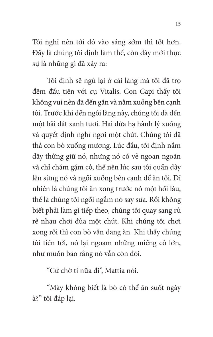 Không Gia Đình: Màu Sắc Của Hy Vọng (4)