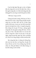 Không Gia Đình: Màu Sắc Của Hy Vọng (4)