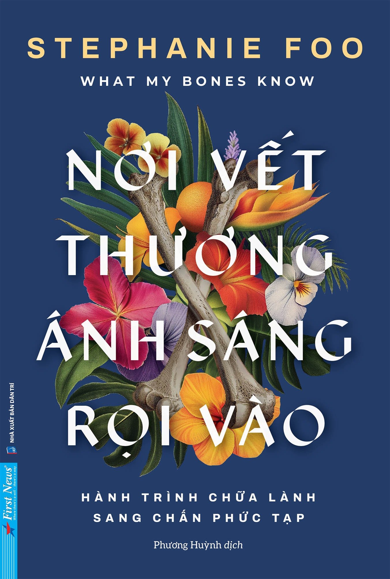 Nơi Vết Thương Ánh Sáng Rọi Vào ( What My Bones Know ) - Stephanie Foo