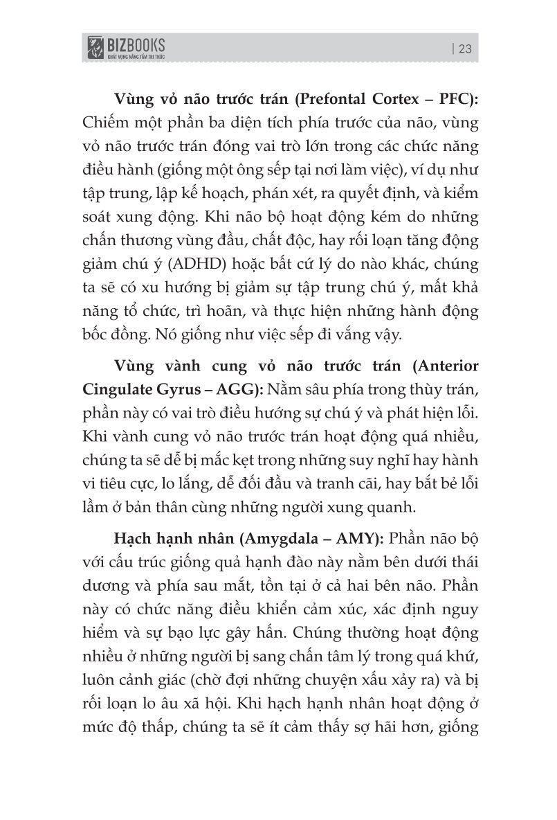 Đánh Thức Não Bộ: Kích Hoạt Năng Lực Tiềm Ẩn Của Não Bộ Để Loại Bỏ Suy Nghĩ Và Hành Vi Tiêu Cực