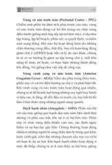 Đánh Thức Não Bộ: Kích Hoạt Năng Lực Tiềm Ẩn Của Não Bộ Để Loại Bỏ Suy Nghĩ Và Hành Vi Tiêu Cực