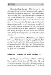 Đánh Thức Não Bộ: Kích Hoạt Năng Lực Tiềm Ẩn Của Não Bộ Để Loại Bỏ Suy Nghĩ Và Hành Vi Tiêu Cực