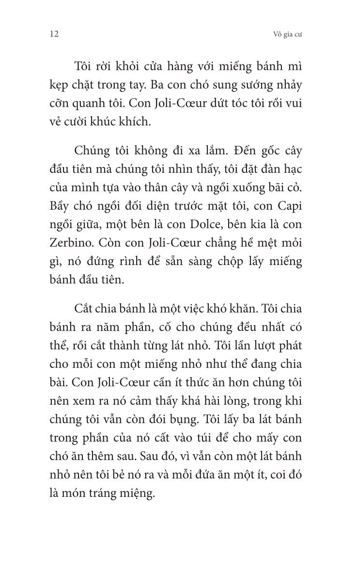 Không Gia Đình: Những Ngày Lưu Lạc (2)