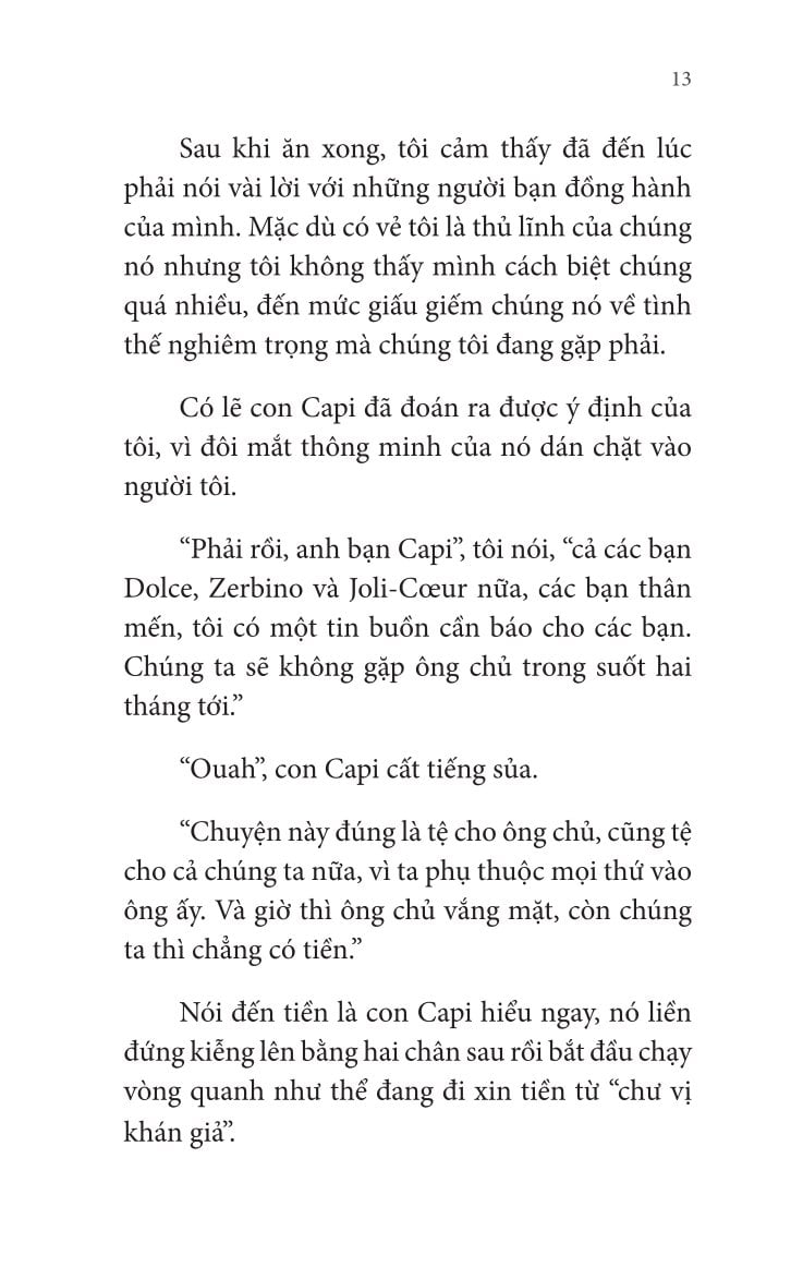Không Gia Đình: Những Ngày Lưu Lạc (2)
