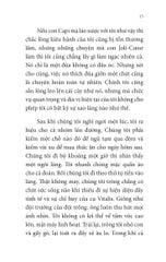 Không Gia Đình: Những Ngày Lưu Lạc (2)