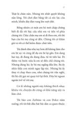 Không Gia Đình: Những Ngày Lưu Lạc (2)