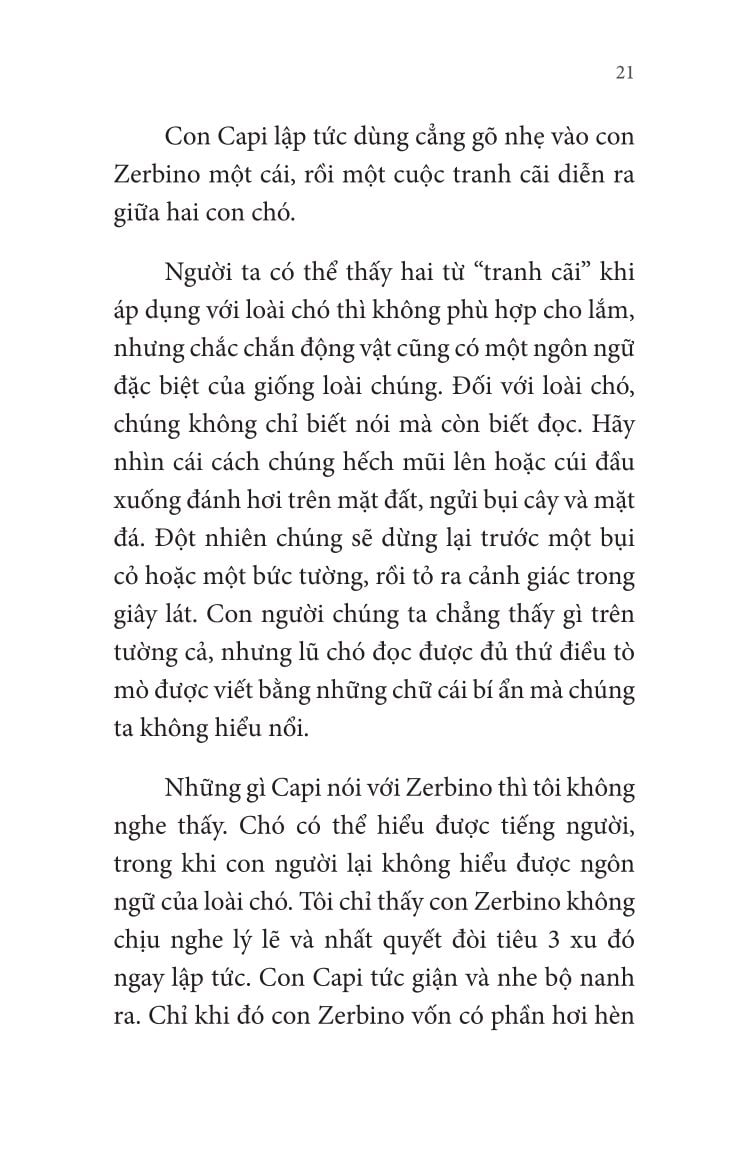 Không Gia Đình: Những Ngày Lưu Lạc (2)