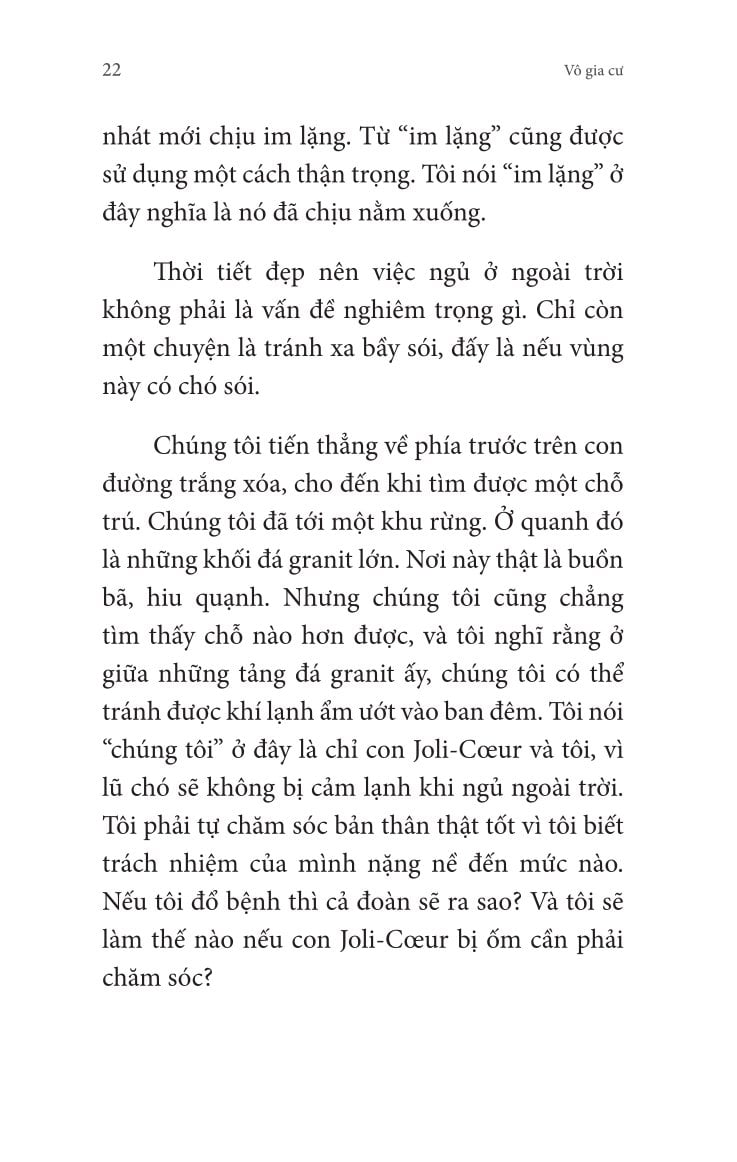 Không Gia Đình: Những Ngày Lưu Lạc (2)