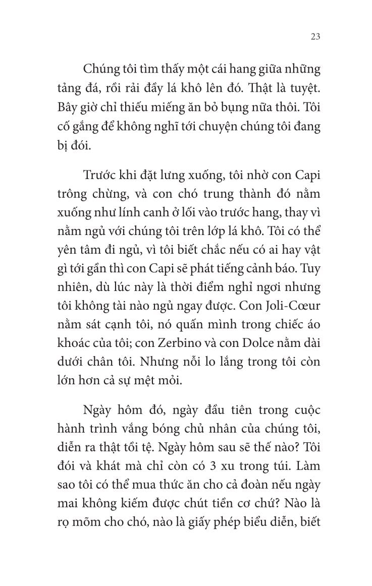 Không Gia Đình: Những Ngày Lưu Lạc (2)