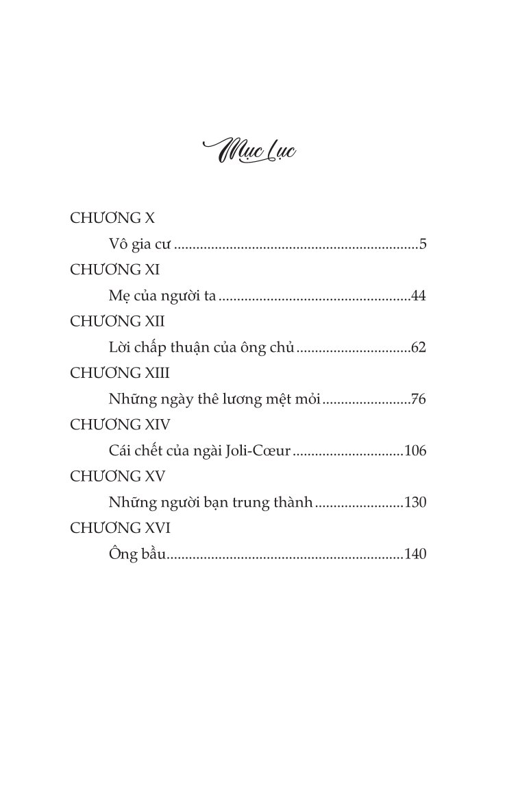 Không Gia Đình: Những Ngày Lưu Lạc (2)