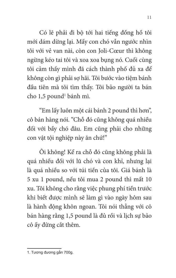 Không Gia Đình: Những Ngày Lưu Lạc (2)