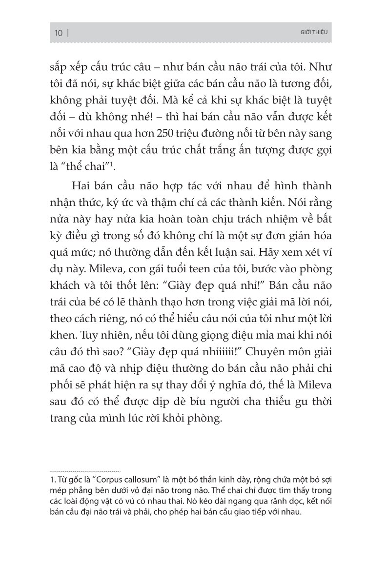Não Trái - Não Phải: Và Cách Chúng Ảnh Hưởng Đến Hành Vi Hằng Ngày Của Chúng Ta